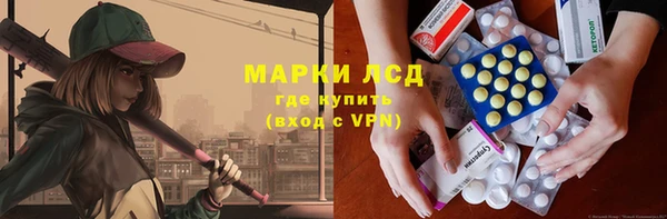 прущие грибы Нефтегорск