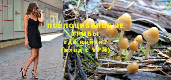 дживик Нея