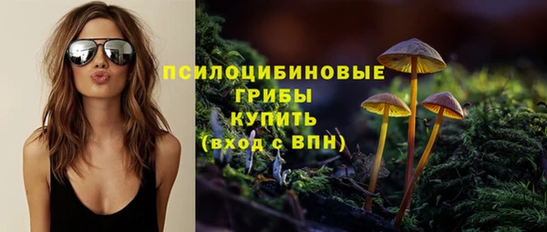 дживик Нея