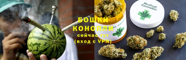 прущие грибы Нефтегорск