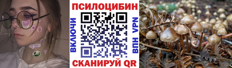 даркнет клад  ссылка на мегу маркетплейс  Козьмодемьянск  Галлюциногенные грибы Magic Shrooms 